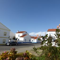 Quartierstrasse mit modernen weiisen Häuschen.