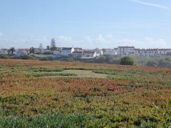 Blick auf Rota Vicentina. Aktivferien mit Eurotrek.