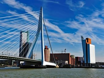 Erasmusbrücke in Rotterdam