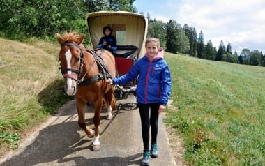 Planwagenfahrt im Jura Ein Kind führt das Pferd eines Planwagens, welche mit einem Fahrgast über eine schöne Wiesenlandschaft im Jura fährt.