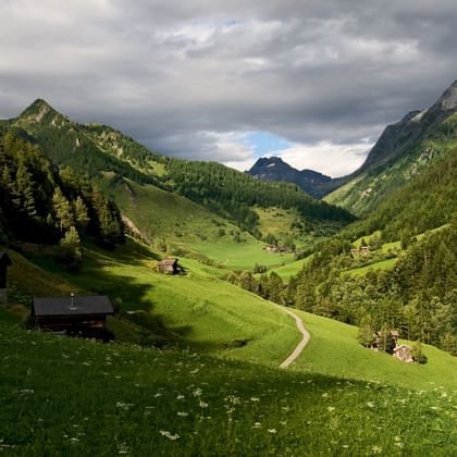 Fantastische Bergwiesen-Landschaft unter grauem bewölkten Himmel.