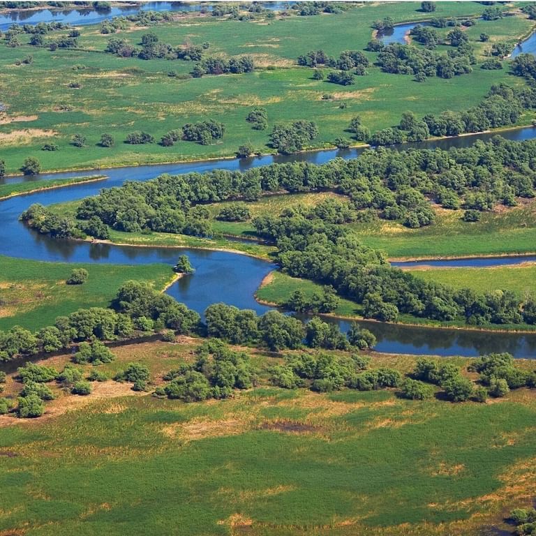 Donaudelta Flussläufe aus der Luft Donaudelta Flussläufe aus der Luft