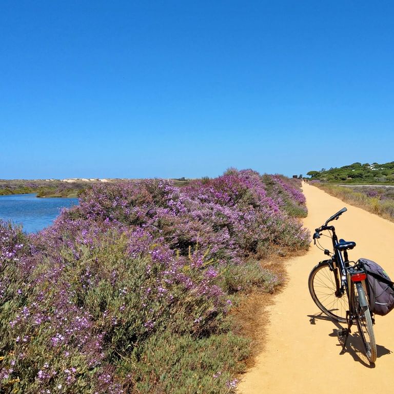 Radweg an der Algarve